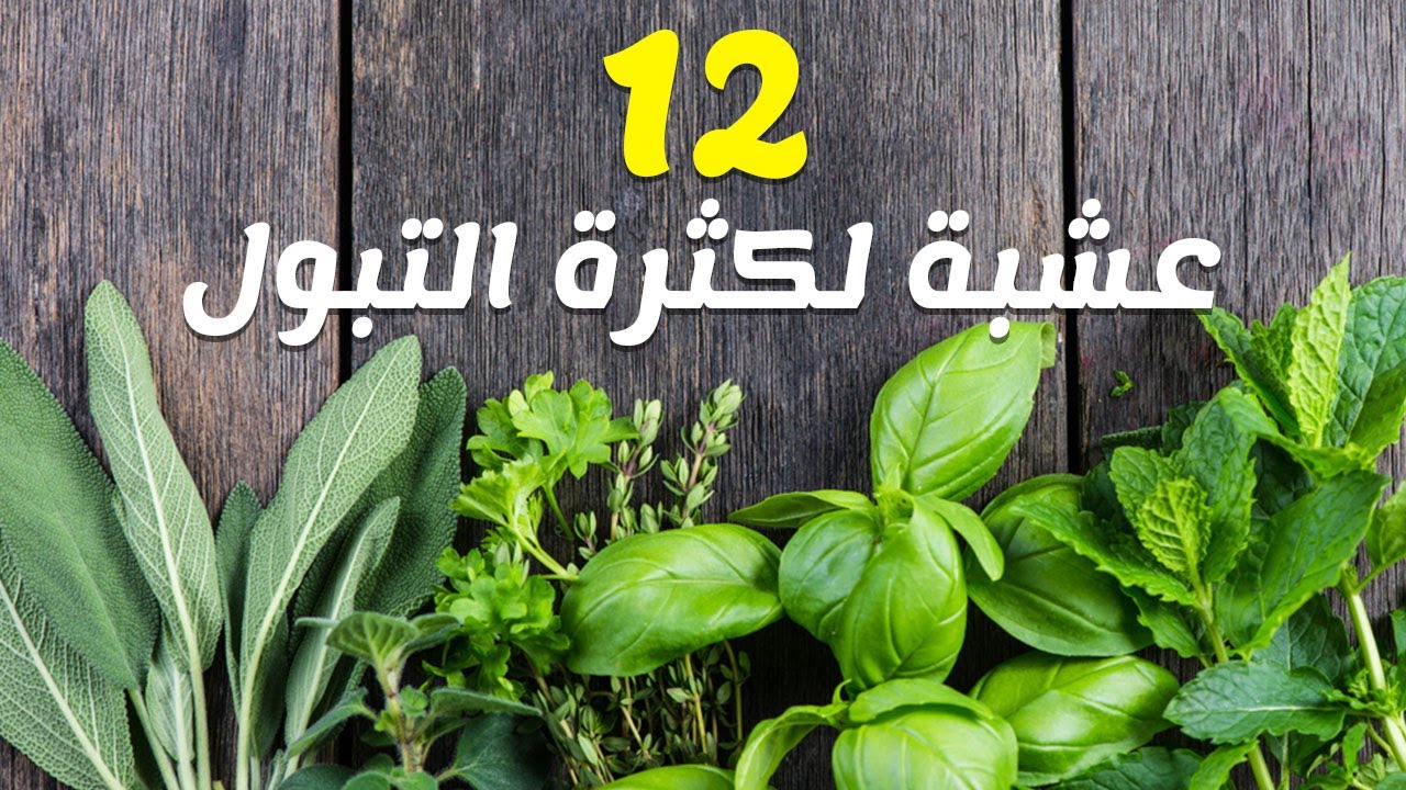 علاج كثرة التبول بالاعشاب-التبول لا ارادى وطرق علاجه 5241