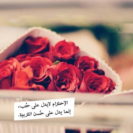 صور واتس اب رهيبة جدا خلفيات واتساب جميله 4336 1