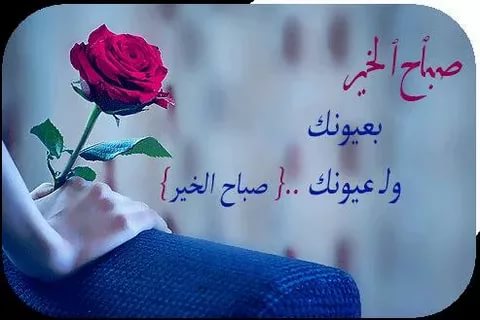 شعر عن الصباح - خواطر صباحيه متنوعه 5882 1