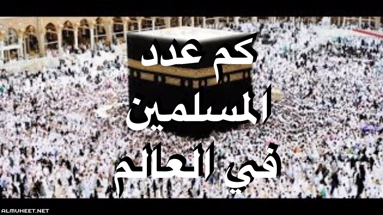 كم عدد المسلمين في العالم 5448 1