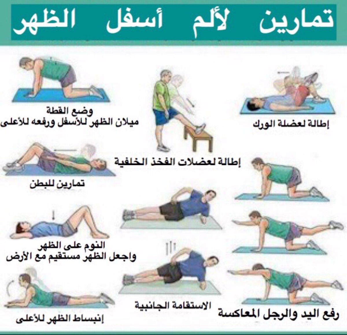 تمارين لالام اسفل الظهر 11143 1