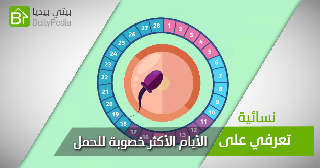 كم مره للجماع لحدوث حمل- ازاي تكوني حامل 6012