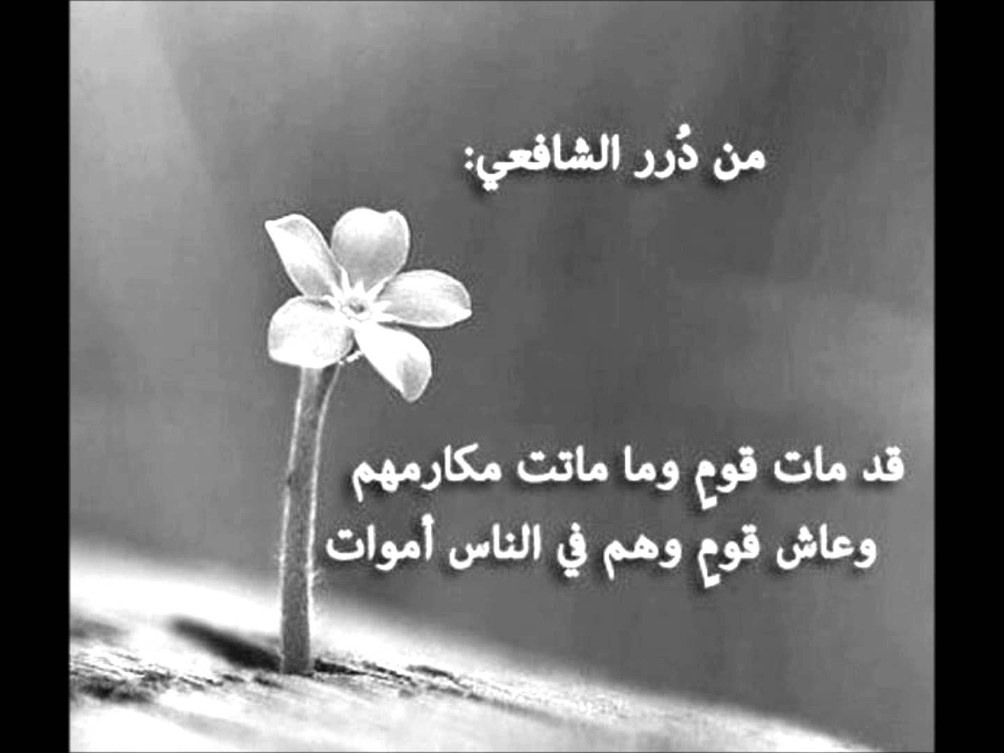 ابيات شعر قصيره حكم - اشعار قصيره للحكم والموعظة 3903 4