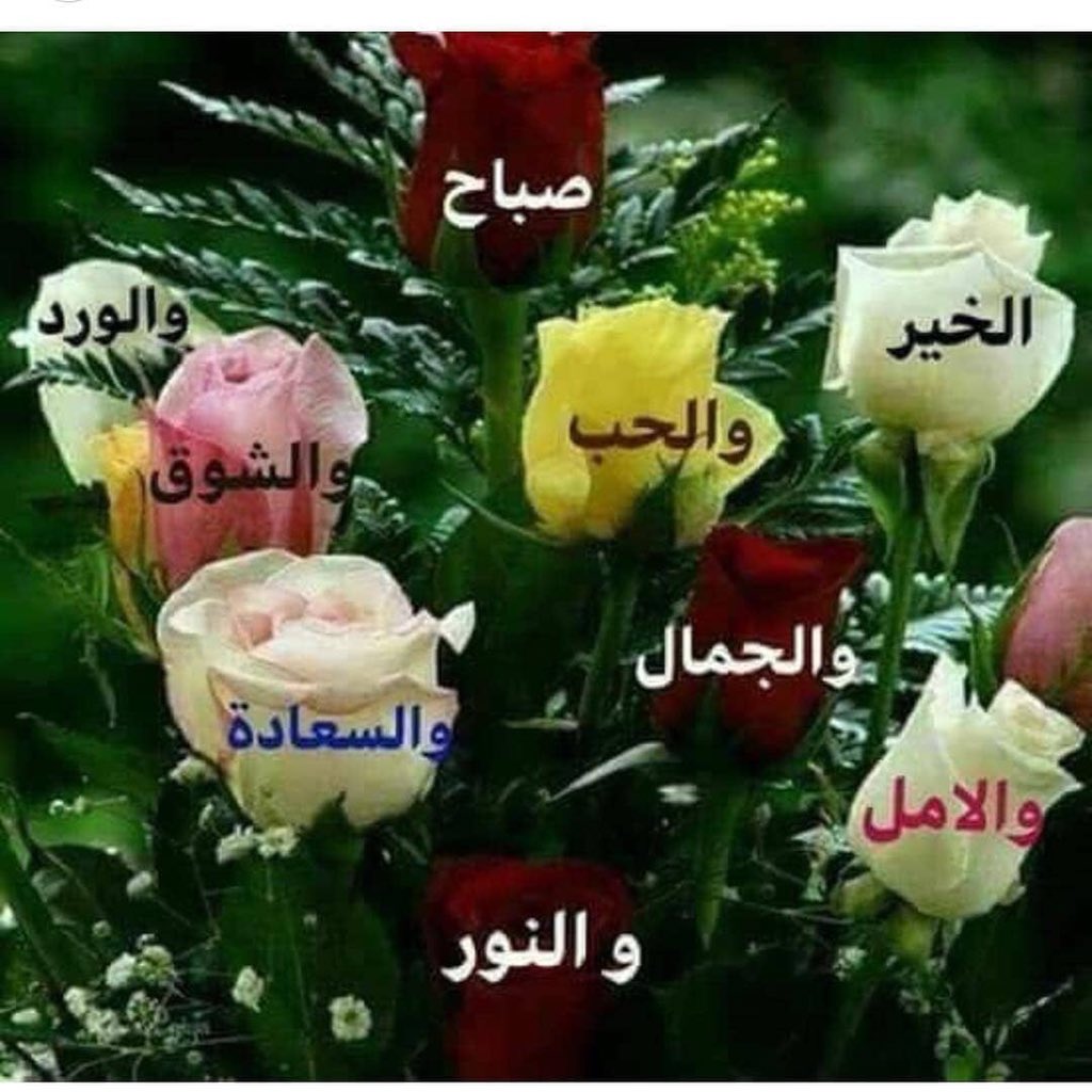 صباح الحب والشوق 5712 5