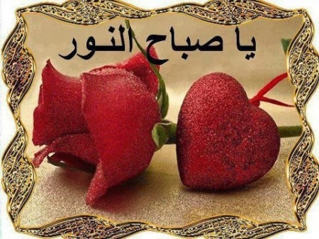 صباح نور - اروع صور صباح النور 3730 12