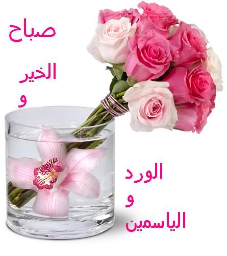 صباح نور - اروع صور صباح النور 3730 4