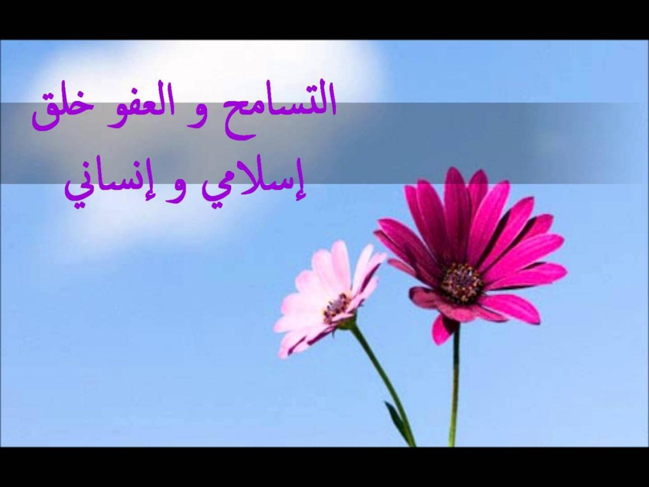 صور تعبر عن التسامح 11372