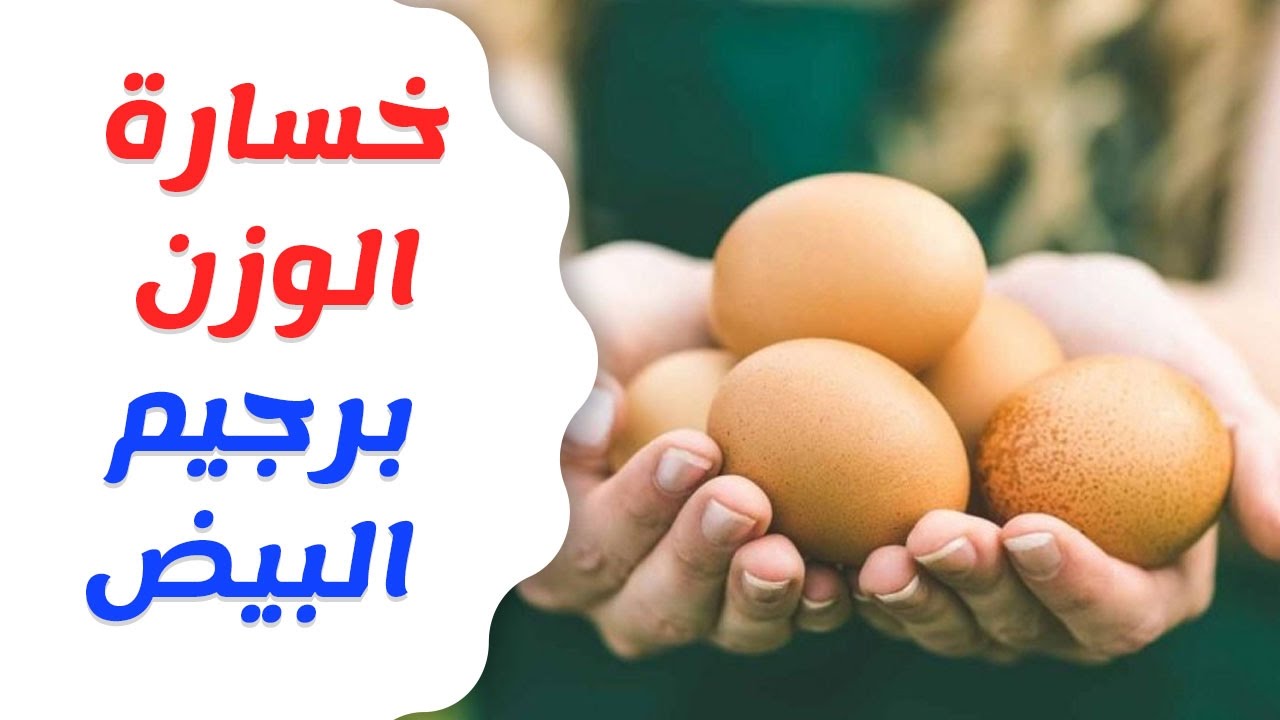 رجيم البيض - رجيم البيض لمده سبع ايام 637 3