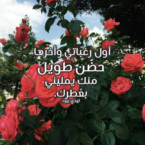 احضان ساخنه- اجمل حضن من جوزي 6529 1