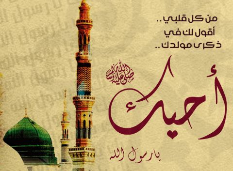 صور المولد النبوي الشريف - مولد اشرف خلق الله 1784 1