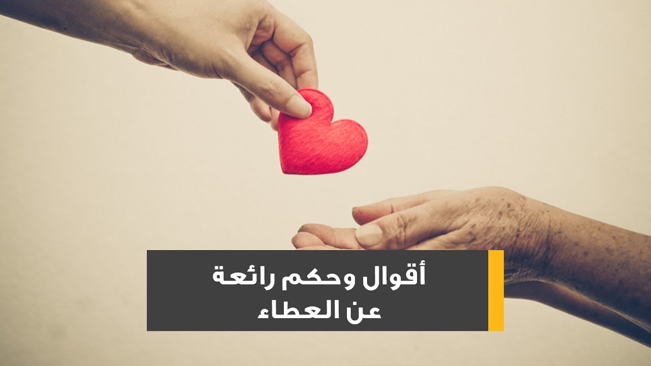 كلمات عن الخير والعطاء 11745 1