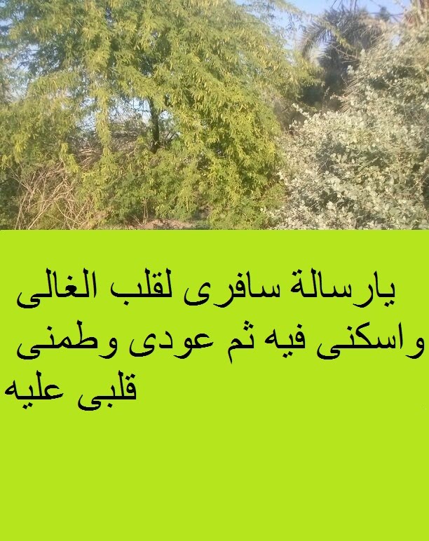 احلى رسائل حب - اجمل رسائل حب 2886 3