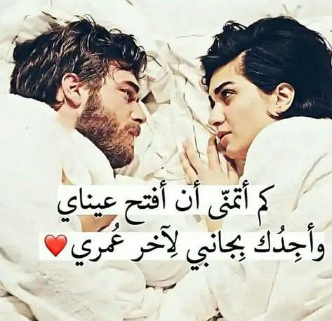 دنيا كلها حب وغرام حب وعشق 4293 3