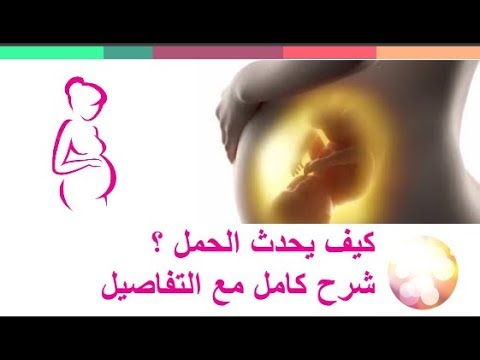 كيفية حدوث الحمل - كيف ومتى يحدث الحمل- 4334 2