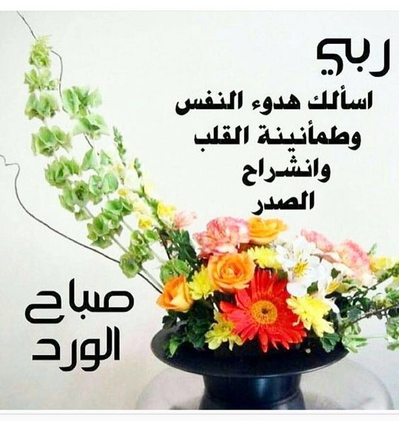 صور صباح الخير متحركه - صباح الخيرات والانوار 83 4