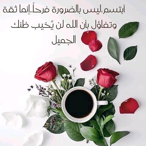 كلمات عن الحياة غالية جدا كلمات من ورود 4376 3