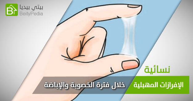 علامات يوم التبويض- تعرفهم على معلومات مهمه 11496 1