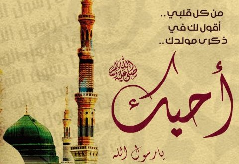 صور عن المولد النبوي الشريف - ميلاد سيدنا النبى 5219 7