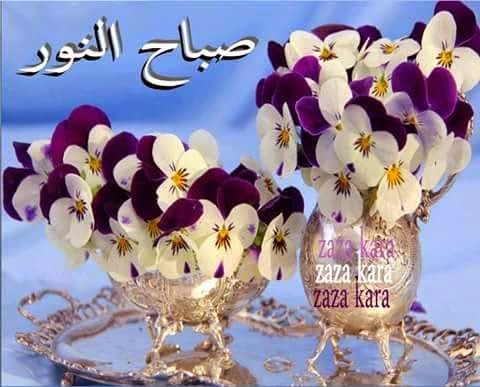 صور صباح النور - صباح النور مكتوبه علي صور 3230 9