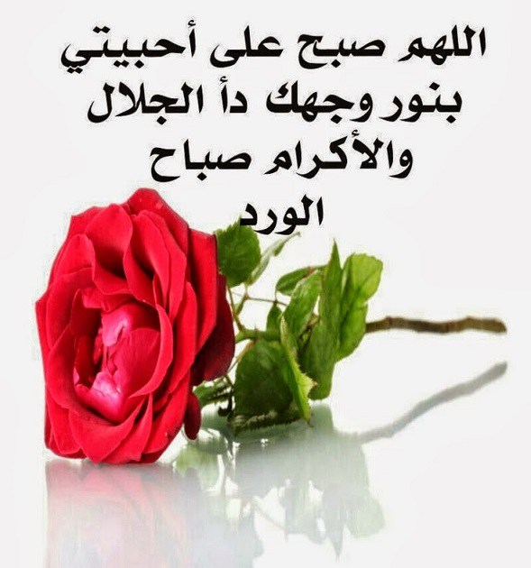 اروع صور صباح الخير , لفتات رقيقه للصباح