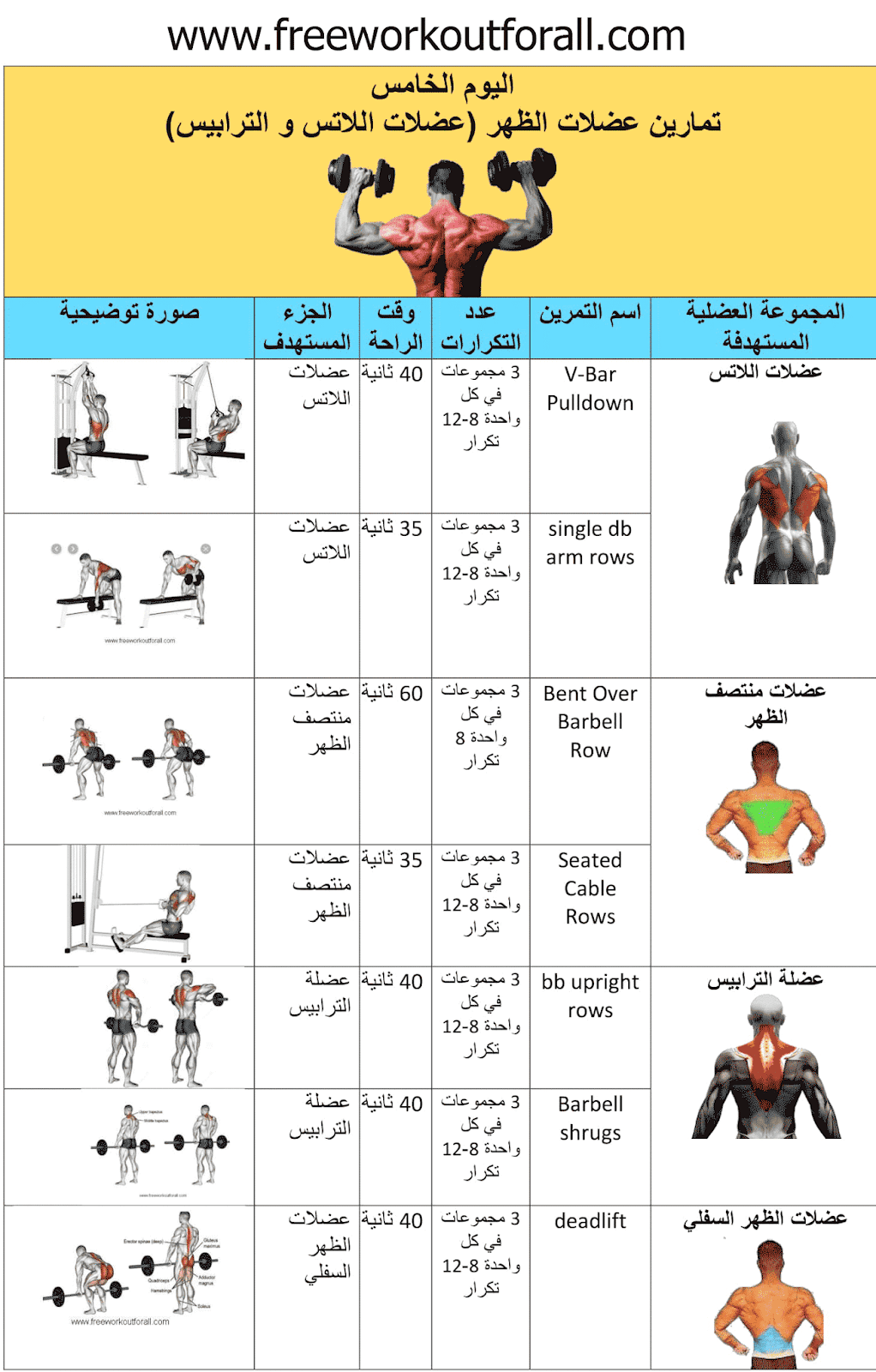 تمارين كمال اجسام 5041