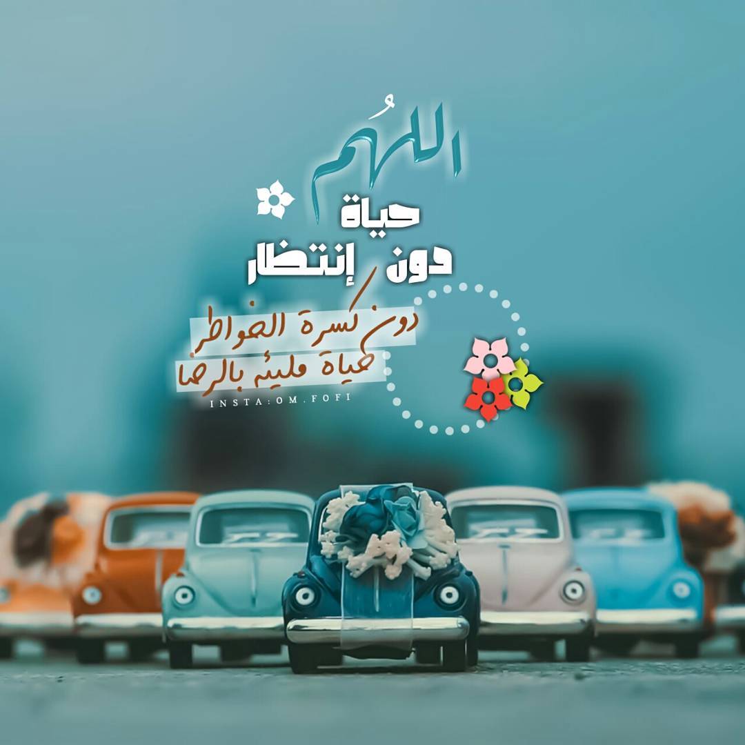 احدث الصور - احدث صورة تم التقاطها في 2019 2384 11