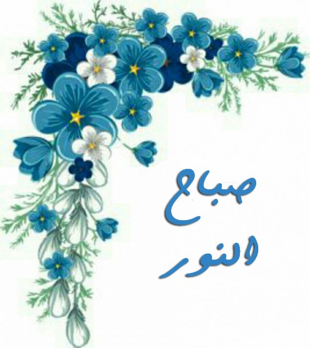 صباح نور - اروع صور صباح النور 3730 9