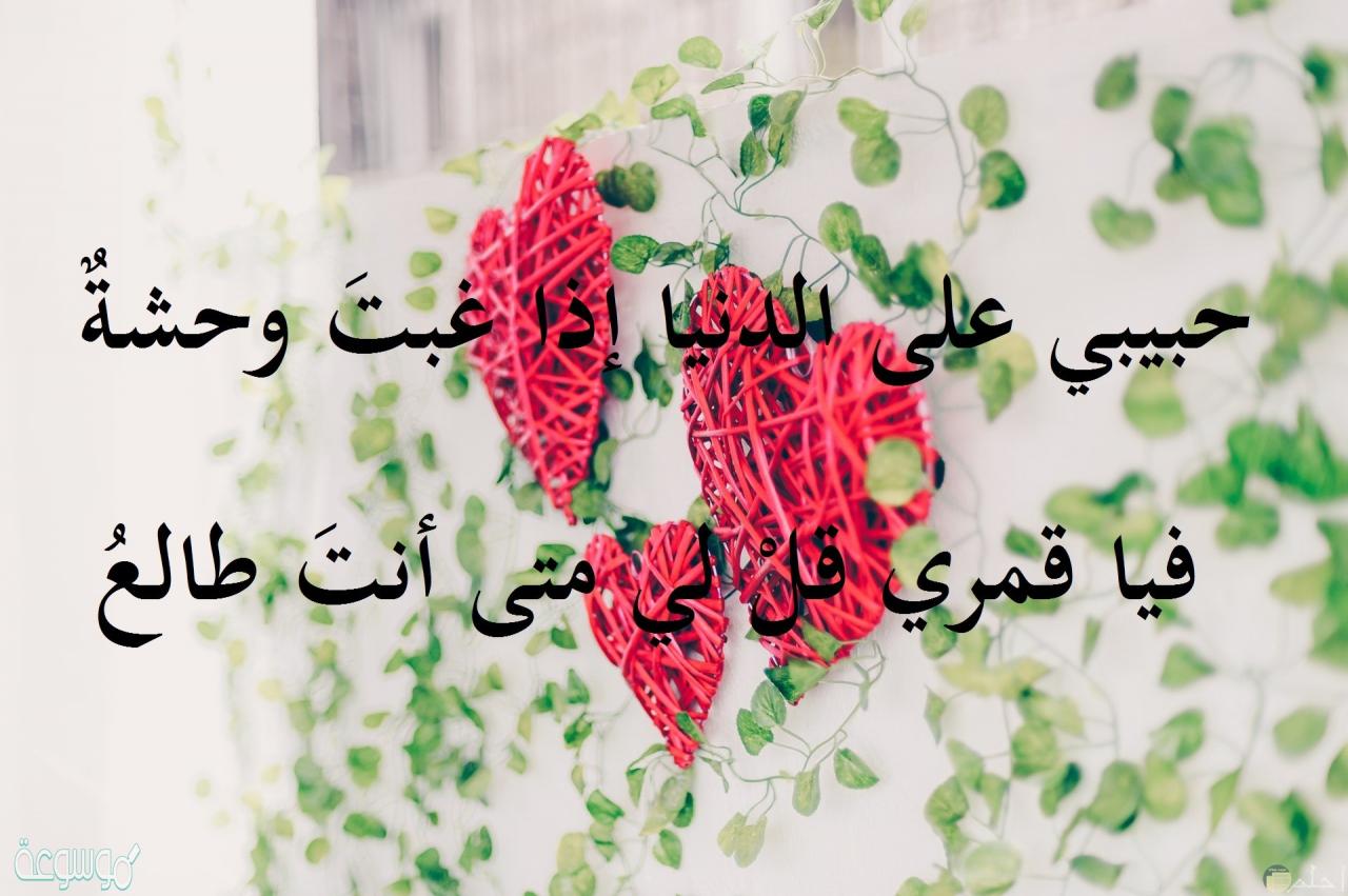 زهور الكلمات 4502 7