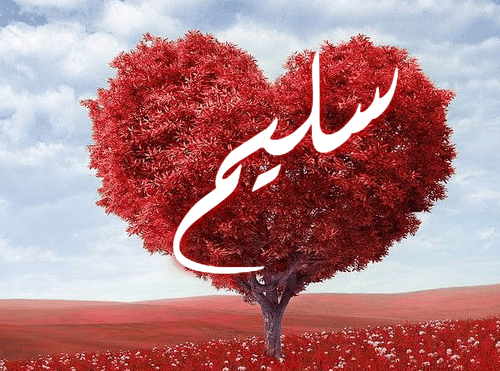 معنى اسم سليم - اسم سليم وصفاته المخفيه 2905 2