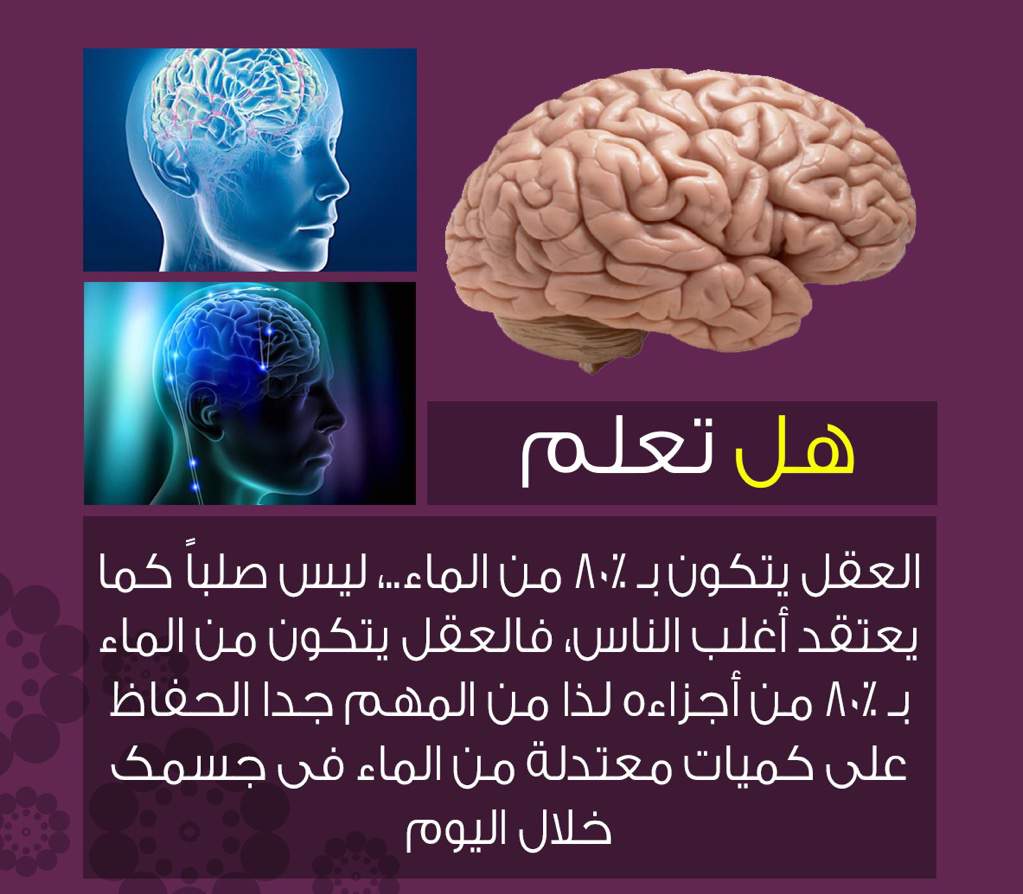 هل تعلم عن الانسان , معلومات حول الانسان