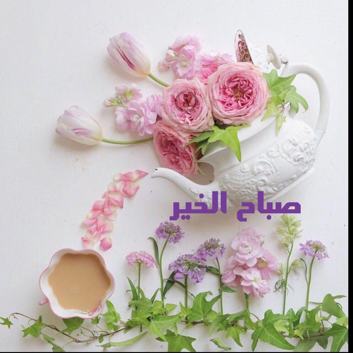 صور ورد صباح الخير - اجمل رسائل الصباح 3552 2