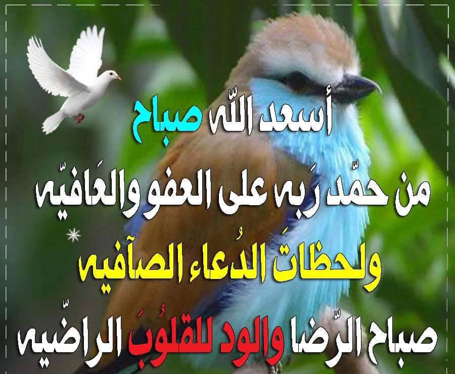 صباح الخير مسجات - اجمل رسائل الصباح 6518