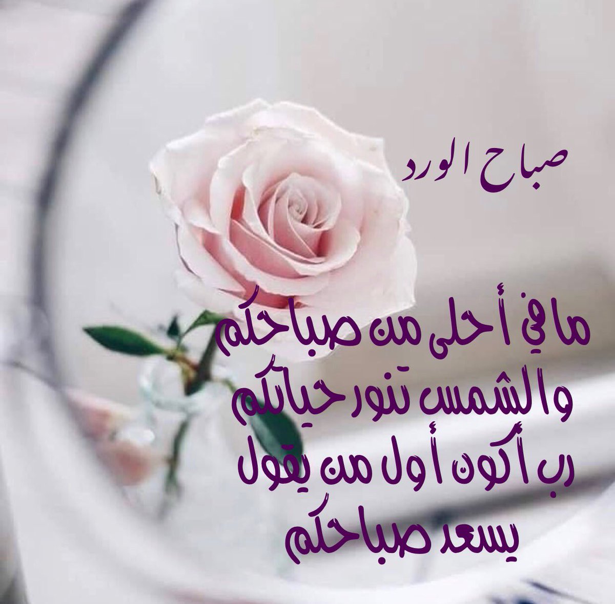 صباح الخير حبي 5691 4