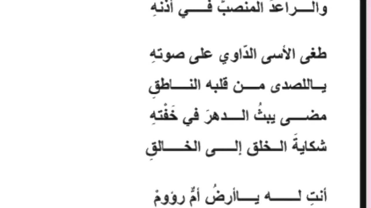 ابيات شعر شعبيه - قصائد شعبية 12068 10