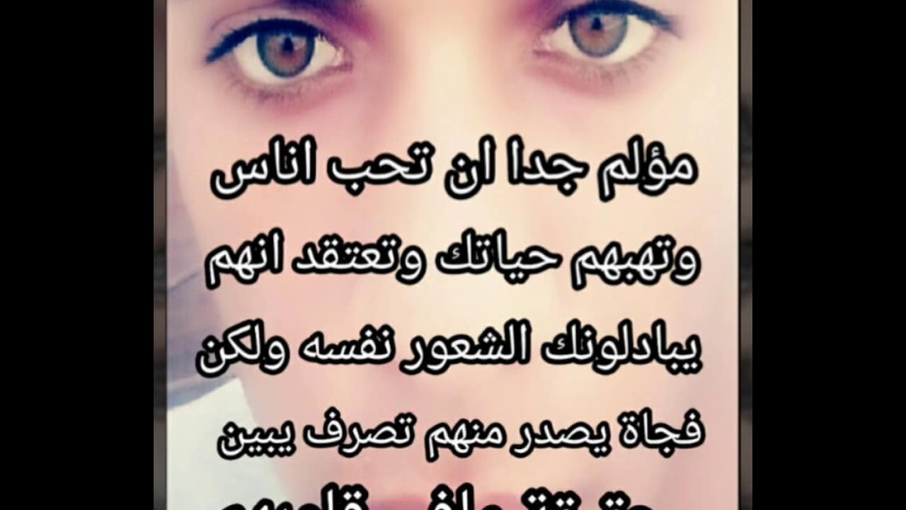 كلام من القلب للقلب 6005 1