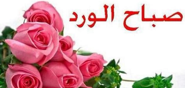 رسائل صباح الحب - صور رسائل حب صباحية 5817 2