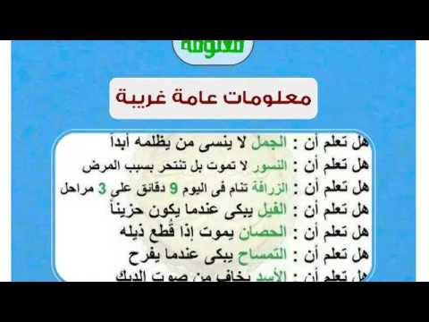 ضعف الانتصاب بسبب العادة- معلومات و ثقافه 11297 1