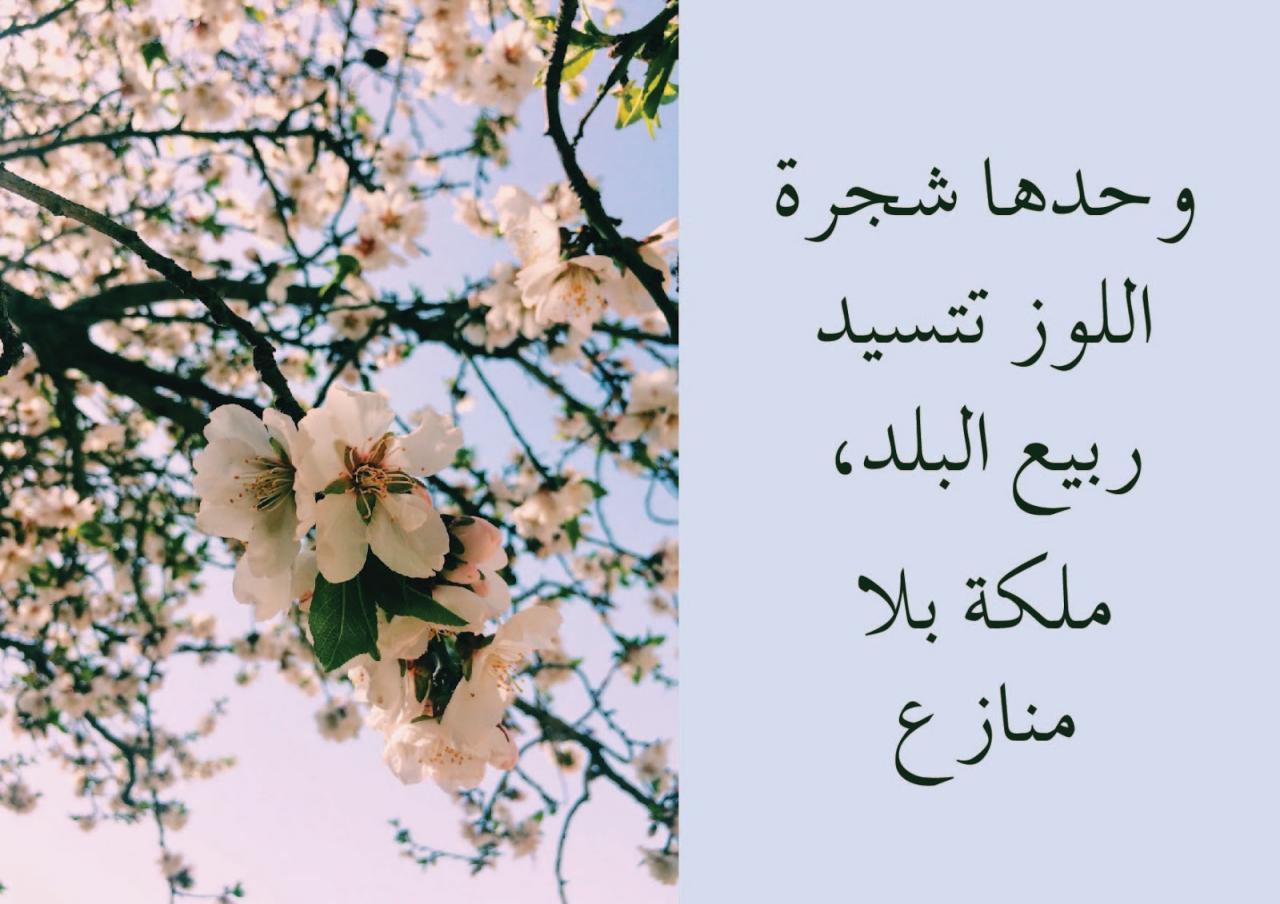 شعر عن الربيع 5977 1