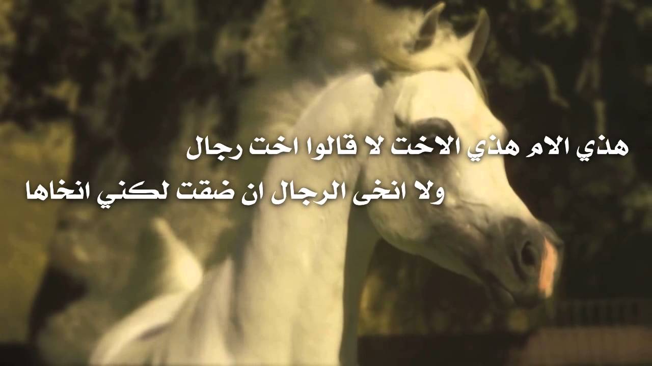 شعر مدح رجل 11482 9