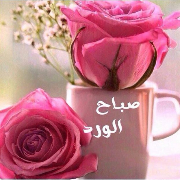 صباح الخير صور - صباحكم فرحه سعاده 1776 2