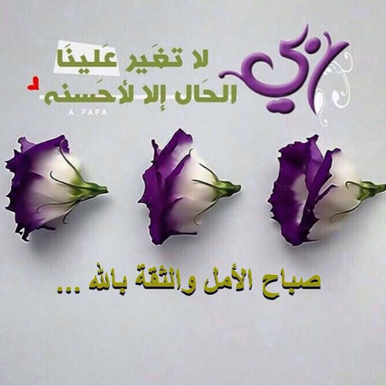 صور صباحيه للحبيب - اروع الرسائل الصباحية 3437 9