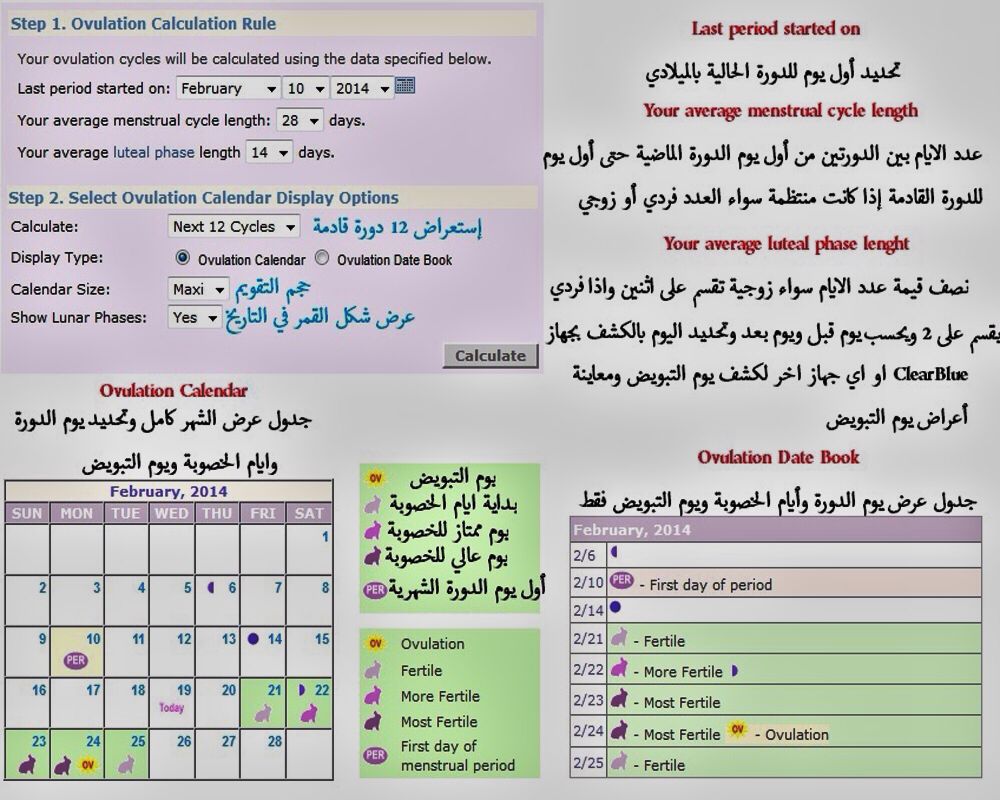 كيف احسب ايام التبويض - كيفيه حساب ايام الاباضة 12440 1