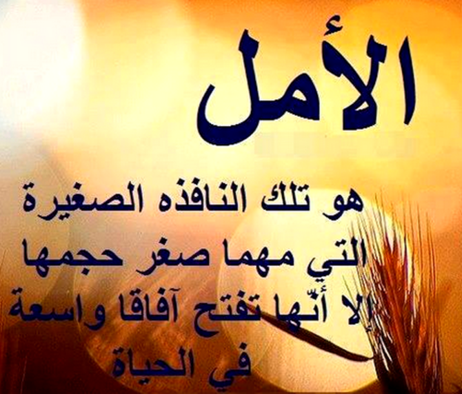 اجمل الحكم في العالم - اروع الحكم المميزة في العالم 6335