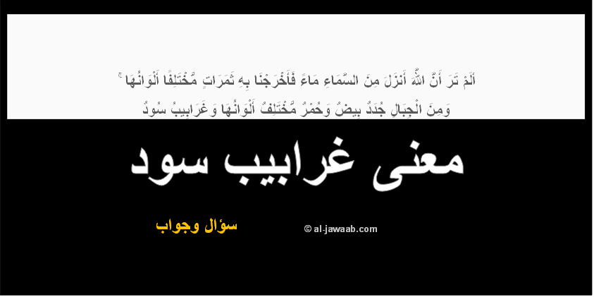 ما معنى غرابيب سود , تفسير معنى غرايب سود