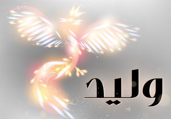 معنى اسم وليد - شرح اسم وليد 3842