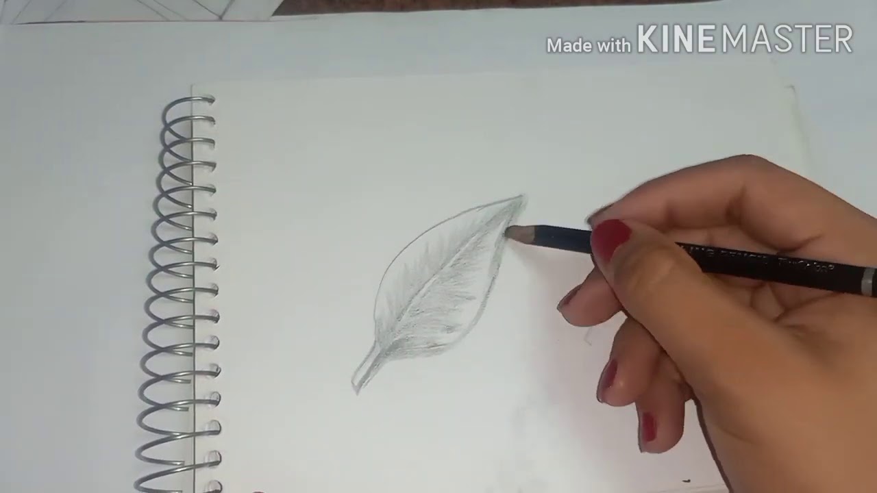 اوراق شجر مرسومة 11463 9