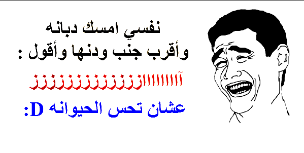 نكت مضحكة - اكثر صور لنكت مضحكة جدا 6240 1