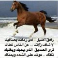 6445 9 شعر مدح شخص غالي - اجمل اشعار المدح للاشخاص الغالية رهف