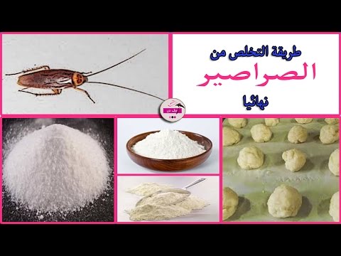 القضاء على الصراصير , التلخص من الصراصير