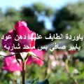 389 6 شعر عن الورد - اروع الكلمات و العبارات عن الورد منال مصطفى